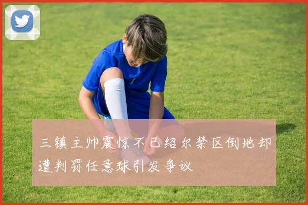 三镇主帅震惊不已绍尔禁区倒地却遭判罚任意球引发争议