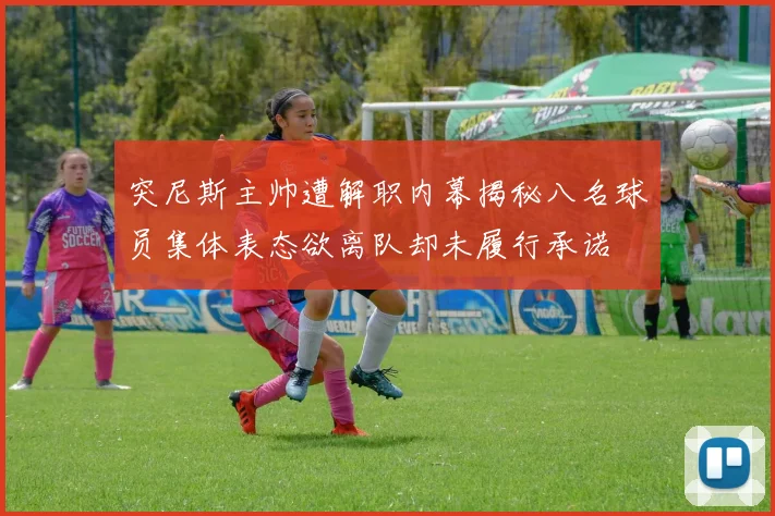 突尼斯主帅遭解职内幕揭秘八名球员集体表态欲离队却未履行承诺